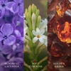 image:imageWoodWick Amethyst amp Amber Gifts for Women and Men 97 oz Medium Hourglass Candle with Crackling WickAmethyst  Amber