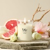 image:imageWoodWick Amethyst amp Amber Gifts for Women and Men 97 oz Medium Hourglass Candle with Crackling WickLush Pomelo