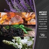 image:imageWoodWick Amethyst amp Amber Gifts for Women and Men 97 oz Medium Hourglass Candle with Crackling WickPurple