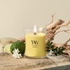 image:imageWoodWick Amethyst amp Amber Gifts for Women and Men 97 oz Medium Hourglass Candle with Crackling WickSolar Orchid