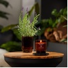 image:imageWoodWick Black Currant amp Rose Gifts for Women and Men 6 oz Renew Medium Candle with Crackling WickLavender  Cypress