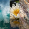image:imageWoodWick Coastal Sunset Gifts for Women and Men 16 oz Ellipse Candle with Crackling WickSea Spray