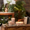 image:imageWoodWick Coastal Sunset Gifts for Women and Men 16 oz Ellipse Candle with Crackling WickVanilla  Sea Salt