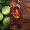 image:imageWoodWick Fireside Holiday Candle Gifts for Women and Men 16 oz Ellipse Candle with Crackling WickFireside