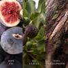 image:imageWoodWick Fireside Holiday Candle Gifts for Women and Men 16 oz Ellipse Candle with Crackling WickVerdant Fig