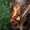 image:imageWoodWick Fireside Holiday Candle Gifts for Women and Men 16 oz Ellipse Candle with Crackling WickWood Smoke