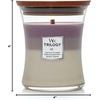 image:imageWoodWick Shoreline Trilogy Gifts for Women and Men 16 oz Ellipse Trilogy Candle with Crackling WickAmethyst Sky
