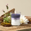 image:imageWoodWick Shoreline Trilogy Gifts for Women and Men 16 oz Ellipse Trilogy Candle with Crackling WickEvening Luxe