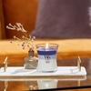 image:imageWoodWick Shoreline Trilogy Gifts for Women and Men 16 oz Ellipse Trilogy Candle with Crackling WickEvening Luxe