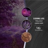 image:imageWoodWick Shoreline Trilogy Gifts for Women and Men 16 oz Ellipse Trilogy Candle with Crackling WickEvening Luxe
