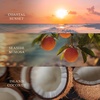 image:imageWoodWick Shoreline Trilogy Gifts for Women and Men 16 oz Ellipse Trilogy Candle with Crackling WickIsland Getaway