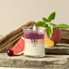 image:imageWoodWick Shoreline Trilogy Gifts for Women and Men 16 oz Ellipse Trilogy Candle with Crackling WickLush Nectar