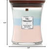 image:imageWoodWick Shoreline Trilogy Gifts for Women and Men 16 oz Ellipse Trilogy Candle with Crackling WickOceanic