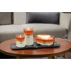 image:imageWoodWick Shoreline Trilogy Gifts for Women and Men 16 oz Ellipse Trilogy Candle with Crackling WickPumpkin Gourmand