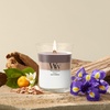 image:imageWoodWick Shoreline Trilogy Gifts for Women and Men 16 oz Ellipse Trilogy Candle with Crackling WickSheer Cashmere