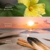 image:imageWoodWick Shoreline Trilogy Gifts for Women and Men 16 oz Ellipse Trilogy Candle with Crackling WickShoreline