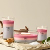image:imageWoodWick Shoreline Trilogy Gifts for Women and Men 16 oz Ellipse Trilogy Candle with Crackling WickShoreline