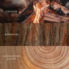 image:imageWoodWick Shoreline Trilogy Gifts for Women and Men 16 oz Ellipse Trilogy Candle with Crackling WickWarm Woods
