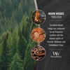image:imageWoodWick Shoreline Trilogy Gifts for Women and Men 16 oz Ellipse Trilogy Candle with Crackling WickWarm Woods