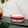 image:imageWoodWick Shoreline Trilogy Gifts for Women and Men 16 oz Ellipse Trilogy Candle with Crackling WickWinter Garland