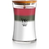 image:imageWoodWick Shoreline Trilogy Gifts for Women and Men 16 oz Ellipse Trilogy Candle with Crackling WickWinter Garland