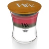 image:imageWoodWick Shoreline Trilogy Gifts for Women and Men 16 oz Ellipse Trilogy Candle with Crackling WickWinter Garland