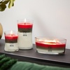 image:imageWoodWick Shoreline Trilogy Gifts for Women and Men 16 oz Ellipse Trilogy Candle with Crackling WickWinter Garland