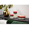 image:imageWoodWick Shoreline Trilogy Gifts for Women and Men 16 oz Ellipse Trilogy Candle with Crackling WickWinter Garland