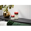 image:imageWoodWick Shoreline Trilogy Gifts for Women and Men 16 oz Ellipse Trilogy Candle with Crackling WickWinter Garland