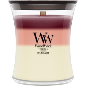 image:imageWoodWick Shoreline Trilogy Gifts for Women and Men 16 oz Ellipse Trilogy Candle with Crackling WickLush Nectar