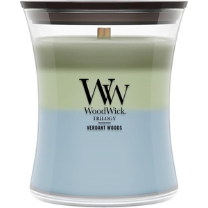 image:imageWoodWick Shoreline Trilogy Gifts for Women and Men 16 oz Ellipse Trilogy Candle with Crackling WickVerdant Woods
